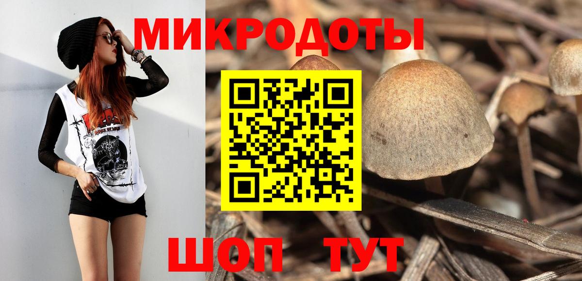 Псилоцибиновые грибы ЛСД  где купить наркоту  Вход с VPN  Нововоронеж  Псилоцибиновые грибы Magic Shrooms 