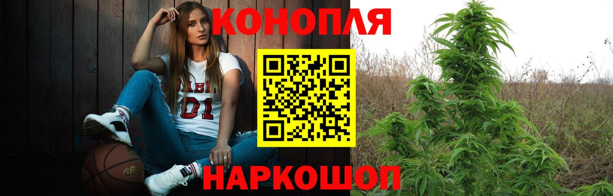 Шишки марихуана семена Нововоронеж